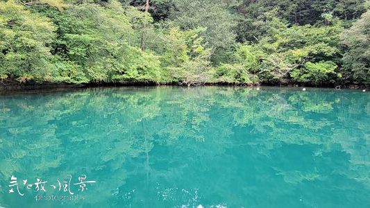 九十九湾の澄んだライトグリーンの海 九十九湾の澄んだライトグリーンの海