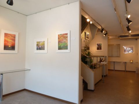 窓際の展示スペース
