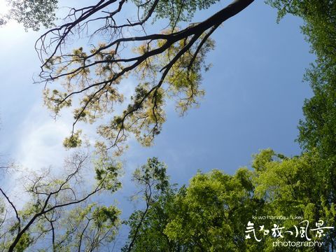4_0004.jpg 4_0004.jpg