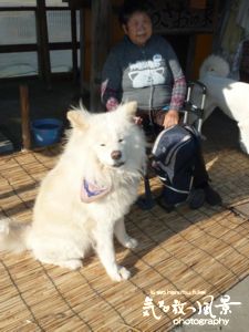 わさお わさお