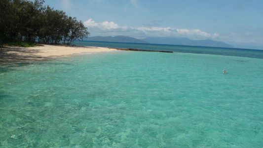 グリーン島 グリーン島