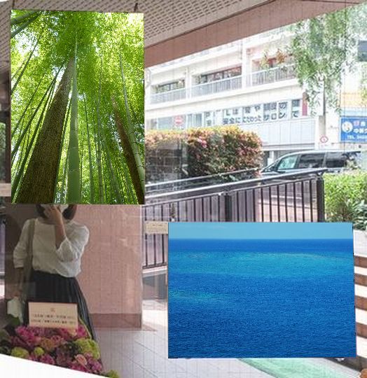 61天を射す竹林の清気、60宮古ブルーの眩惑 61天を射す竹林の清気、60宮古ブルーの眩惑