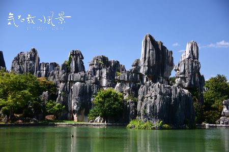 石林 石林