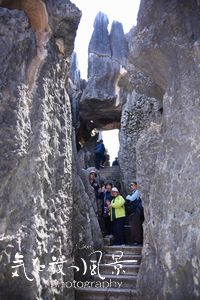 石林 石林