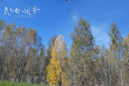 黄土高原の秋 黄土高原の秋