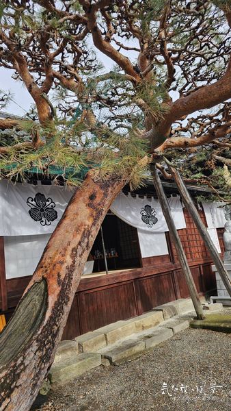 西宮神社 西宮神社